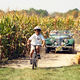 Illustration for article titled Sports Cars Race Through Corn (Maize) Maze